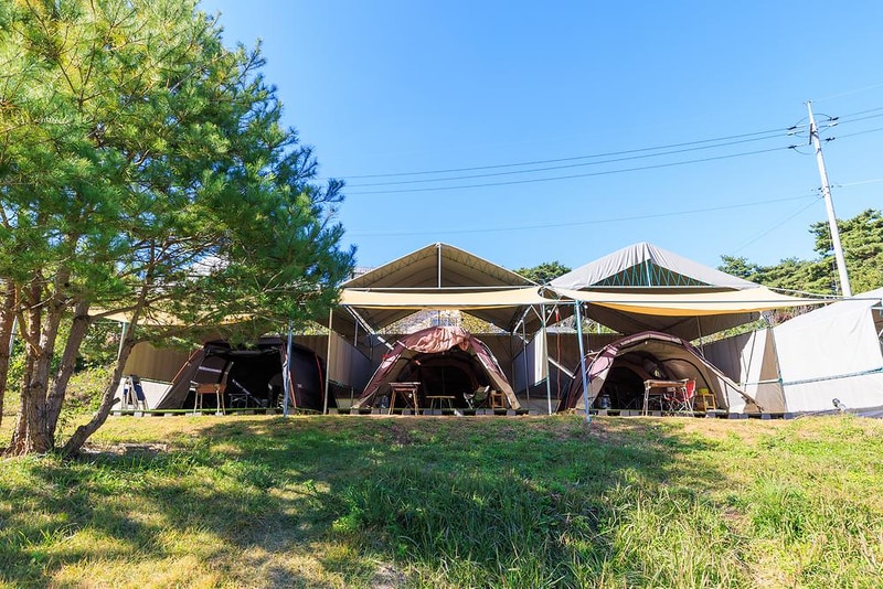 세울터 오토캠핑장 & 펜션 시설 사진 26