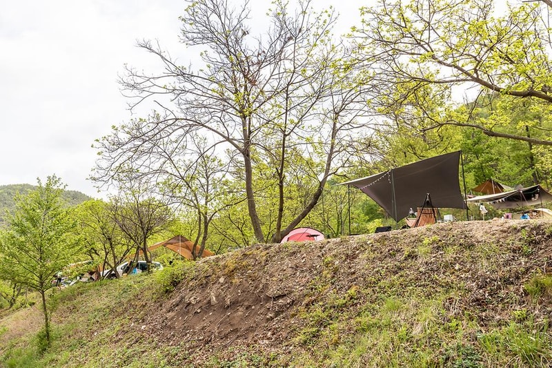 마로니에숲 캠핑장 시설 사진 4