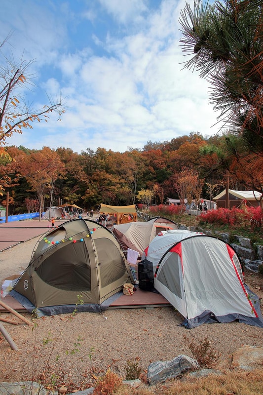 초막골생태공원 느티나무야영장 시설 사진 3