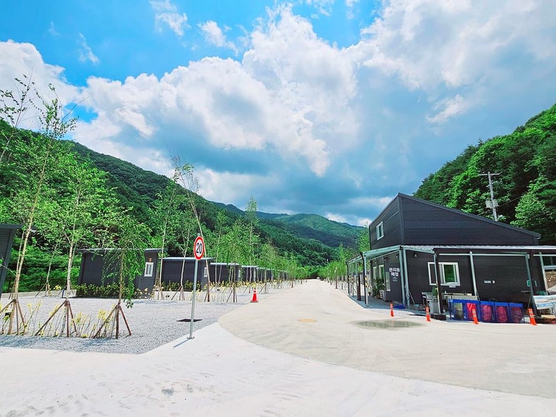 자작나무뜰 오토캠핑장 시설 사진 12