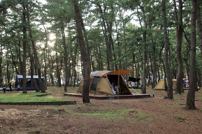 연곡해변 솔향기캠핑장 시설 사진 29
