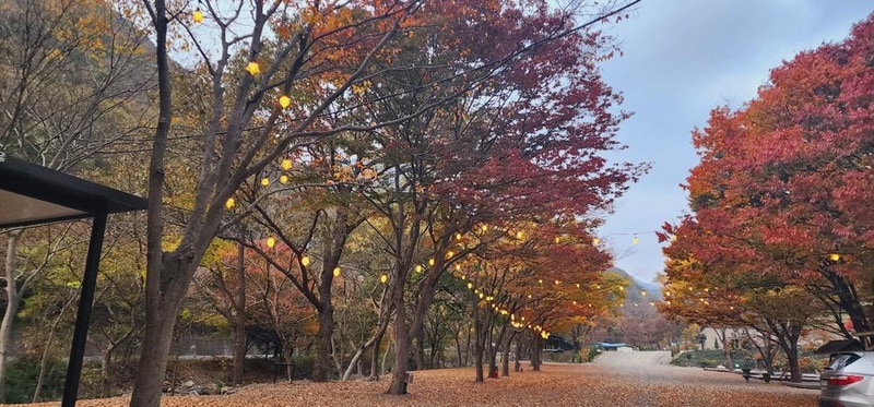 이안힐링랜드 시설 사진 49