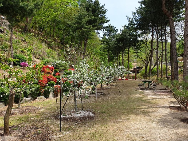 도전캠핑장 시설 사진 4