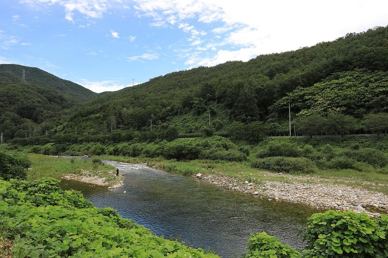 금수문화공원 야영장 시설 사진 10