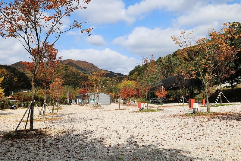 포천그린별캠핑장 시설 사진 1