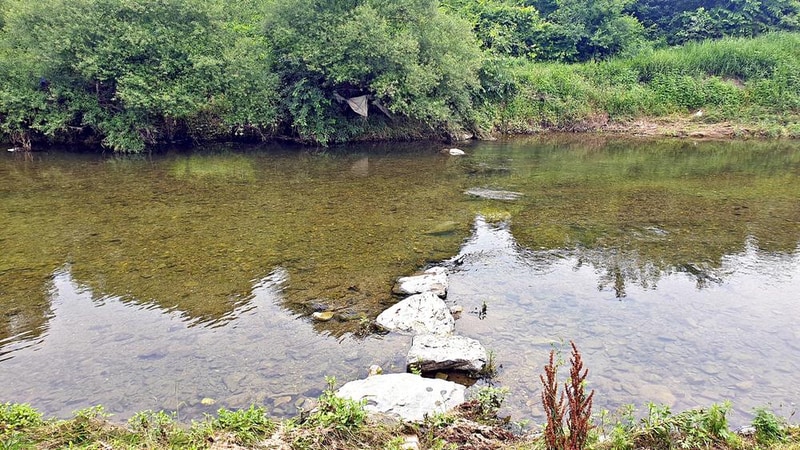 숲캠핑장 시설 사진 25