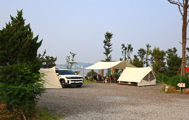 버드오토캠핑장