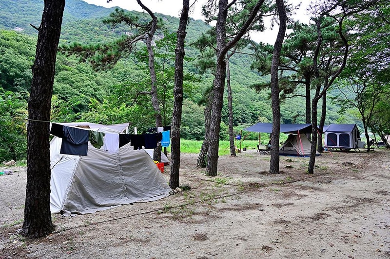 라라캠핑장 시설 사진 14