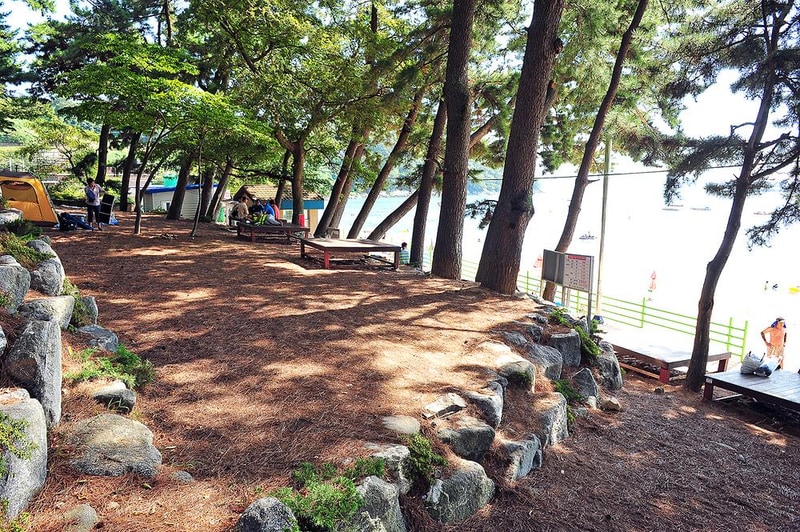 사촌해수욕장야영장 시설 사진 4