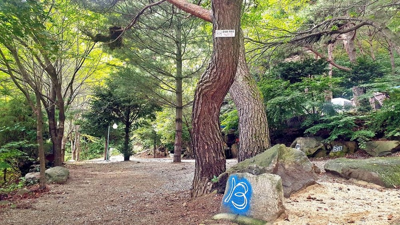 각화산캠핑장 시설 사진 20