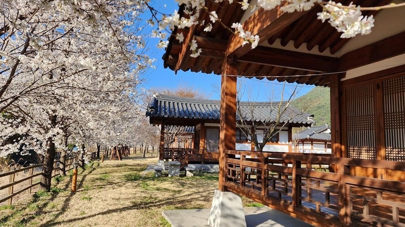 농월정오토캠핑장 시설 사진 1