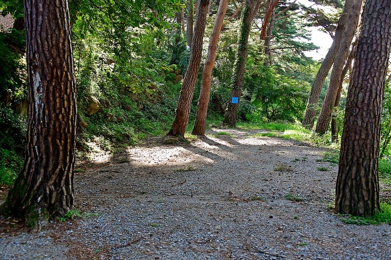 섬지캠핑장 시설 사진 36