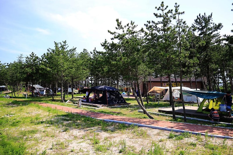 자작도캠핑장 시설 사진 15