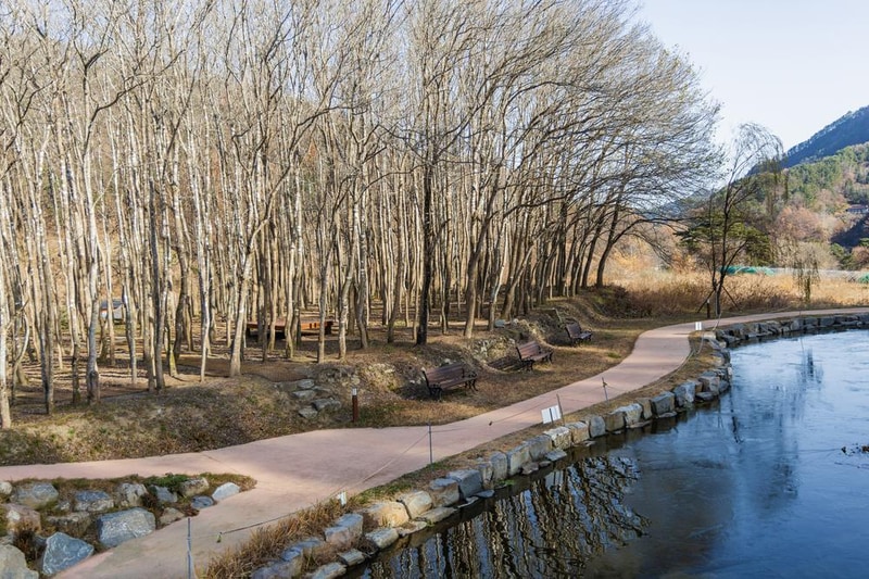 가야산오토캠핑장 시설 사진 8