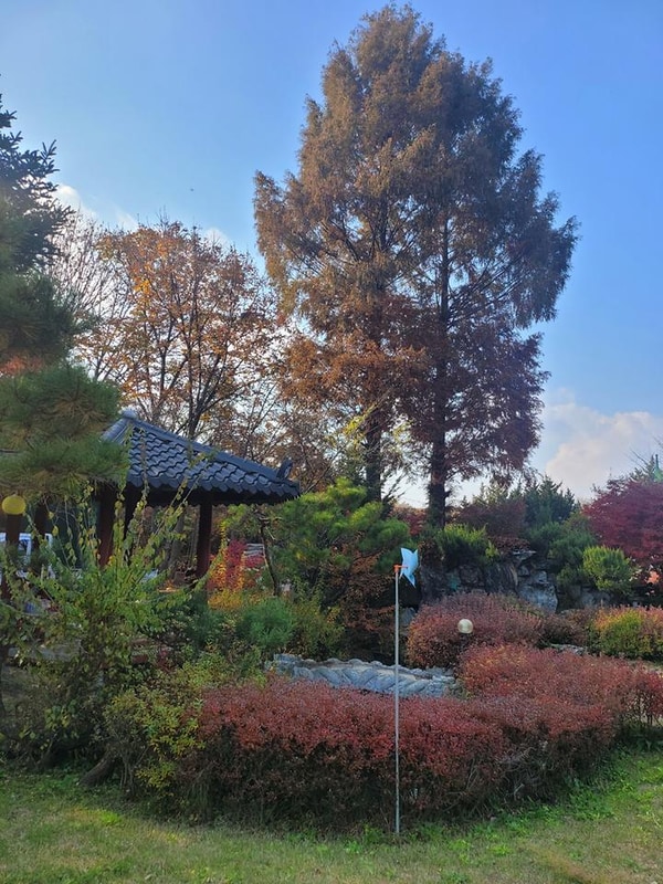 금산만악리수목원 오토캠핑장