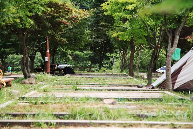달궁자동차야영장 시설 사진 38