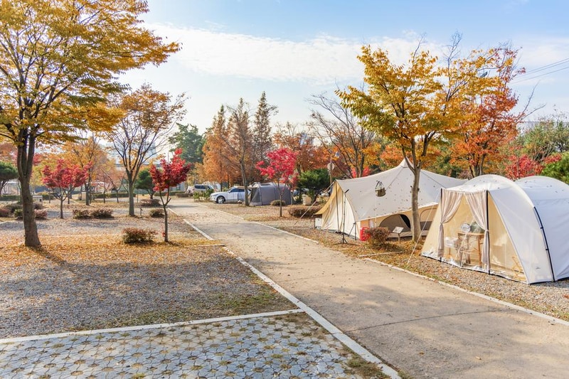 화성시 향남 오토캠핑장 시설 사진 75