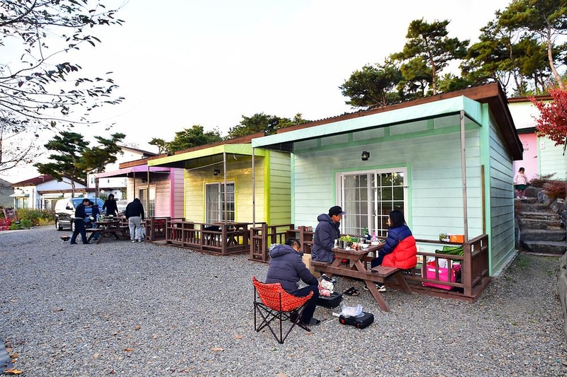 아잘리아 그린 시설 사진 6