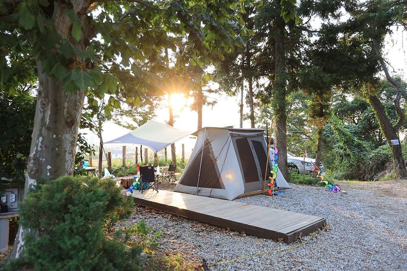 버드하우스 캠핑장 시설 사진 30