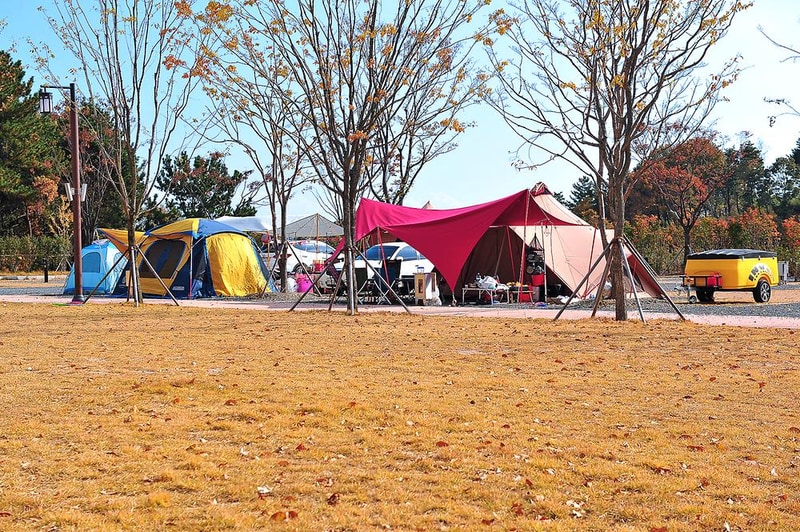 황방산생태야영장 시설 사진 12