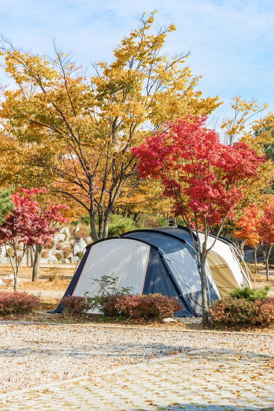 화성시 향남 오토캠핑장 시설 사진 58