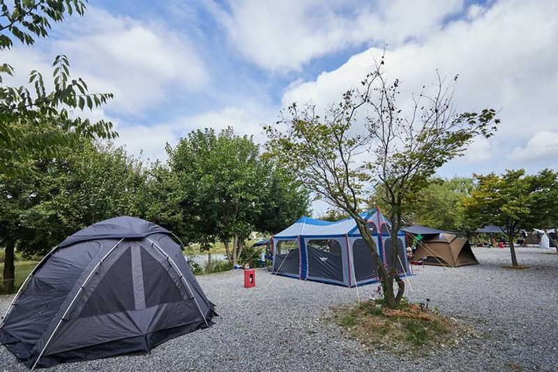 용설호수캠핑장