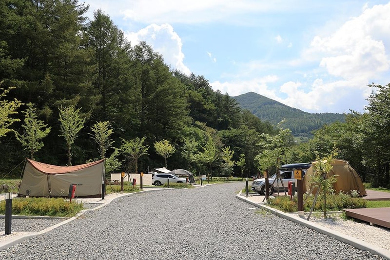 태백고원자연휴양림 자동차야영장 시설 사진 2