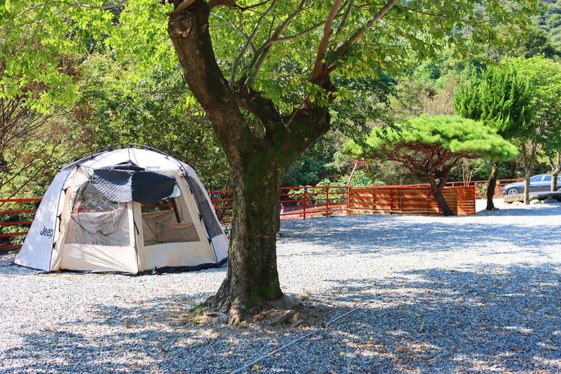 (주)러블레싱(LOVEBLEESING INC) 시설 사진 37