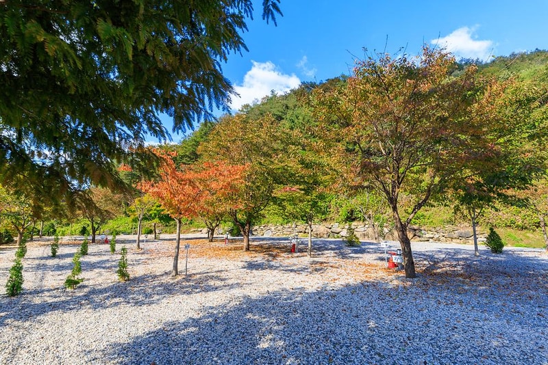 별하숲캠핑장 시설 사진 19