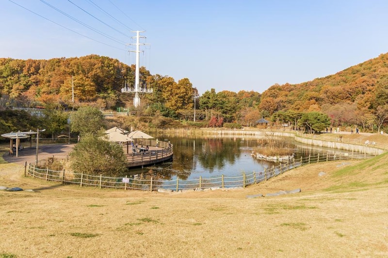 초막골생태공원 느티나무야영장 시설 사진 16