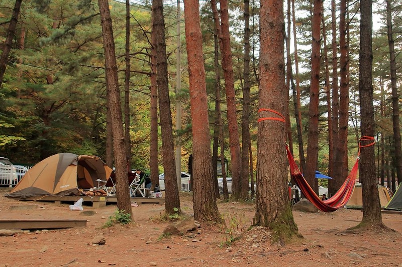 무릉계곡 힐링캠핑장 시설 사진 4