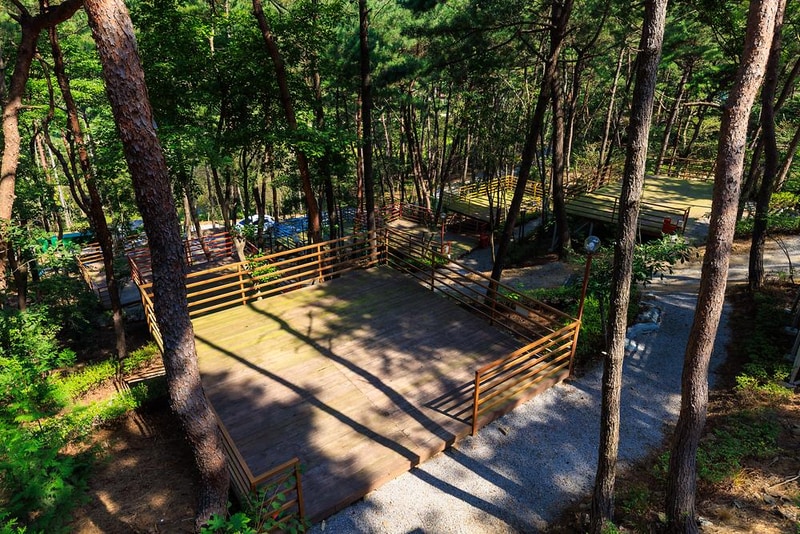 올레유 시설 사진 17