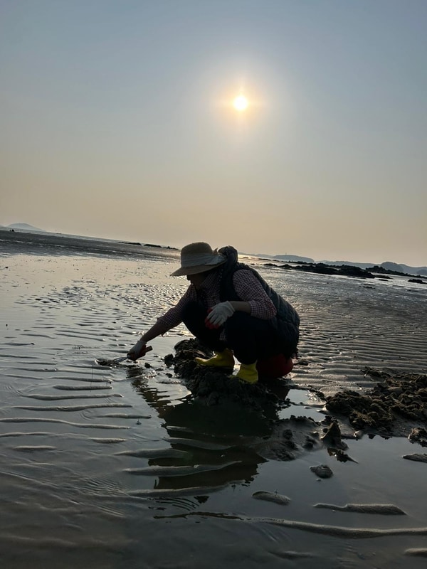 별빛갯벌캠핑장 시설 사진 2
