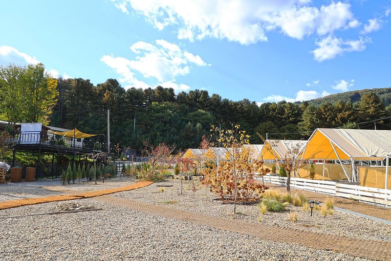 나아정 시설 사진 14