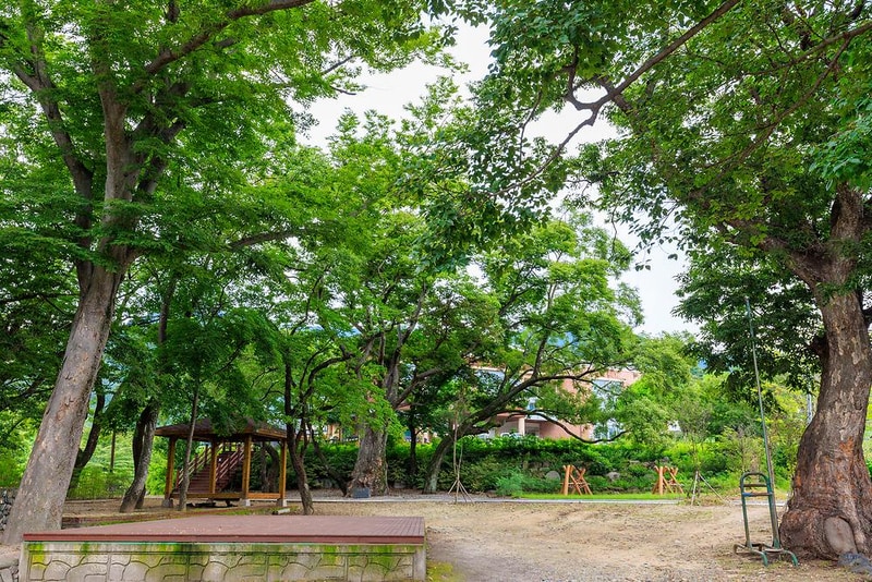 백암온천마을 영농조합법인 야영장 시설 사진 1