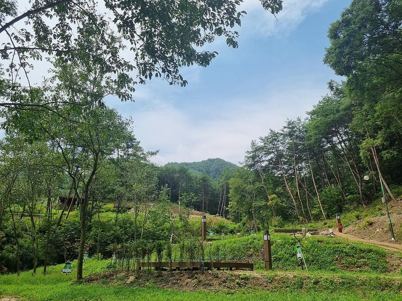 국립김천숲속야영장 시설 사진 5