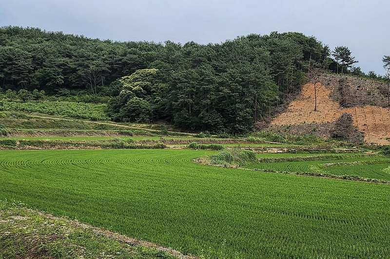 푸르미르 관광농원 시설 사진 2