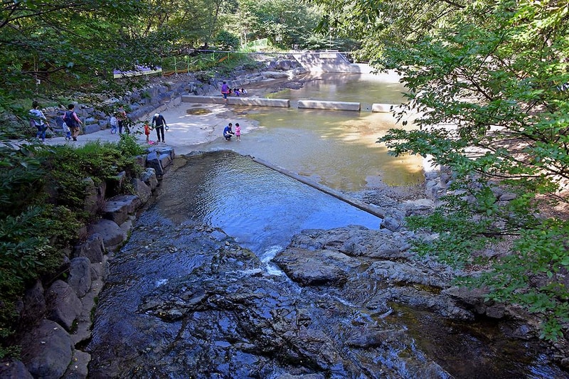 대운산자연휴양림 야영장 시설 사진 7