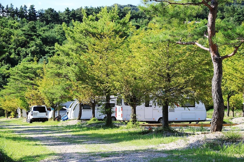 솔뜰 캠핑장 시설 사진 9