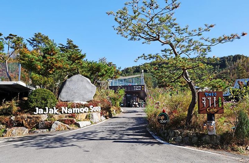 청계호수 자작나무숲 캠핑장