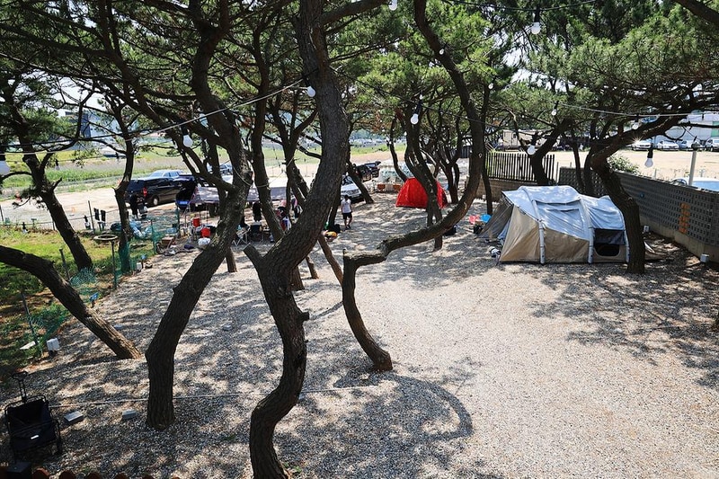 을왕리 솔트 캠핑장 시설 사진 9