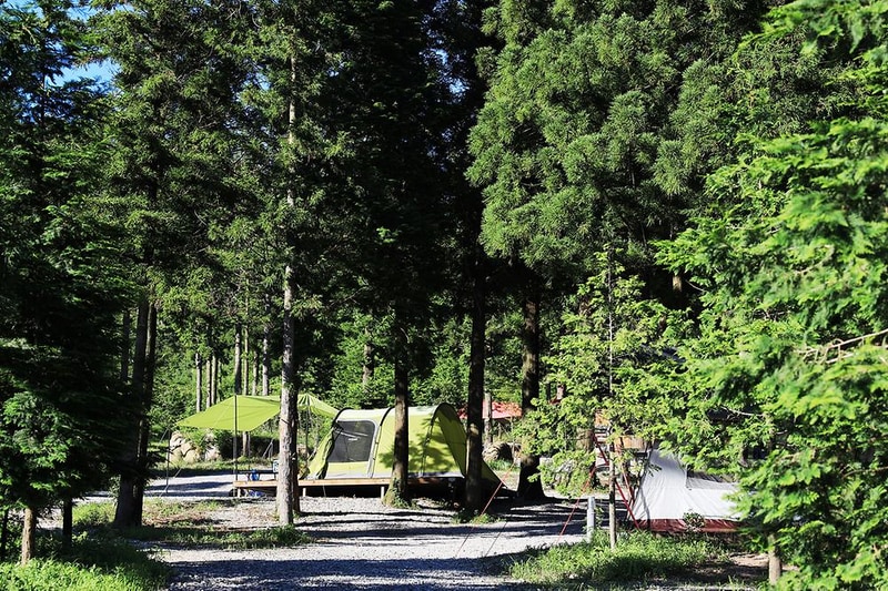 윤제림오토캠핑장 시설 사진 19