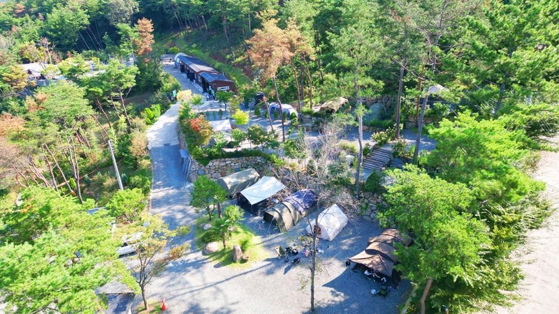 (주)러블레싱(LOVEBLEESING INC) 시설 사진 4