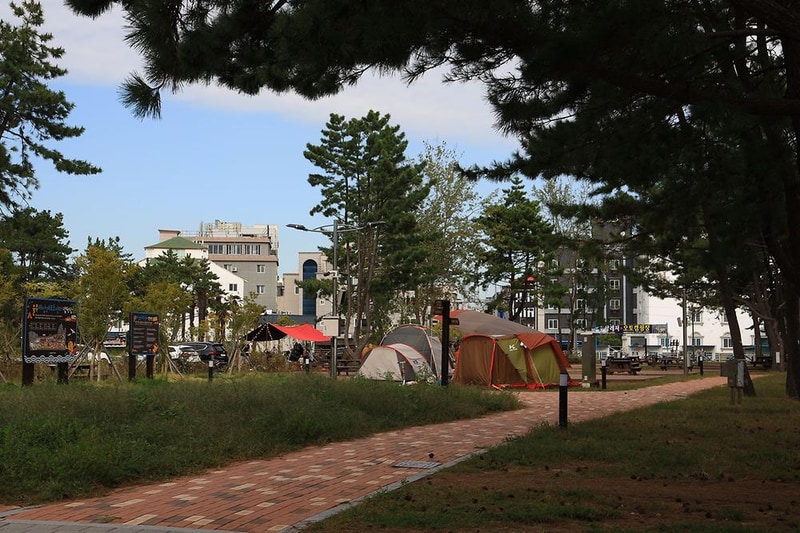 울주해양레포츠센터 야영장 시설 사진 17