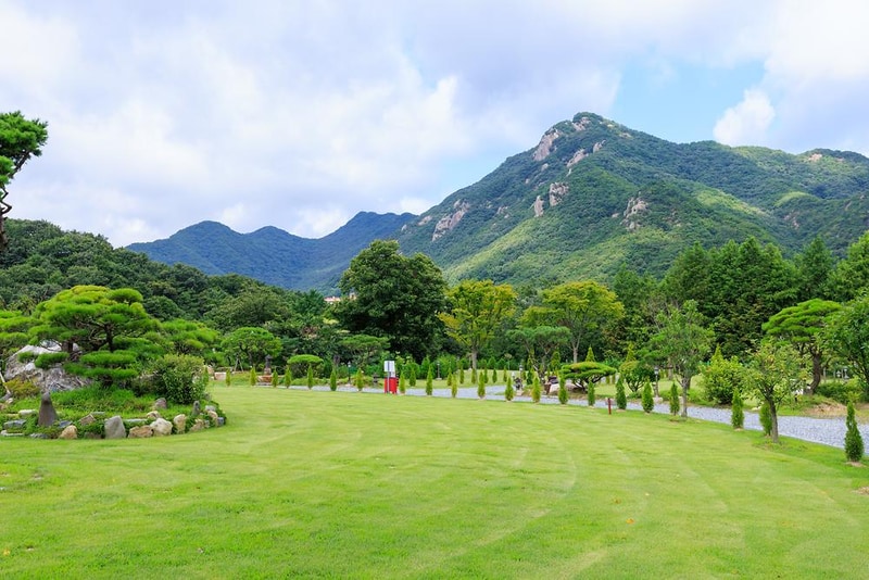 동학사힐링캠핑장 시설 사진 6