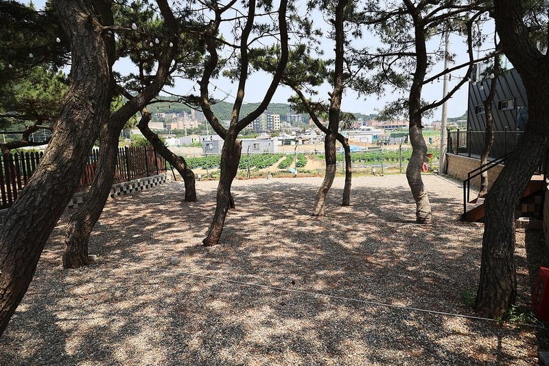 을왕리 솔트 캠핑장 시설 사진 11