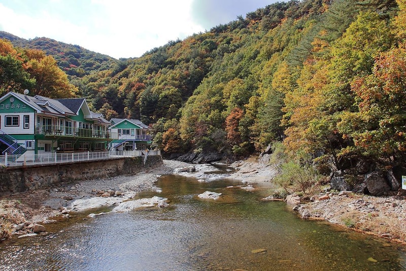 그린하우스캠핑장 시설 사진 12