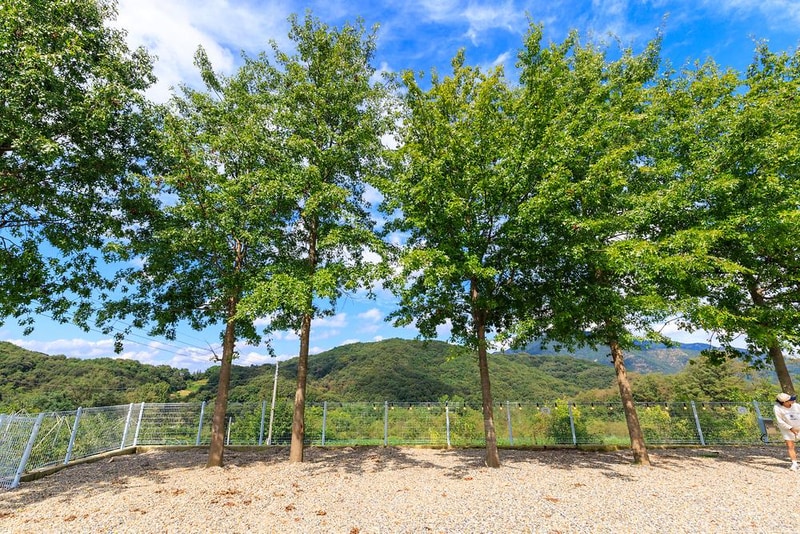 월명612 시설 사진 5