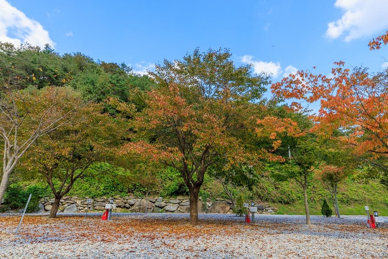 별하숲캠핑장 시설 사진 16