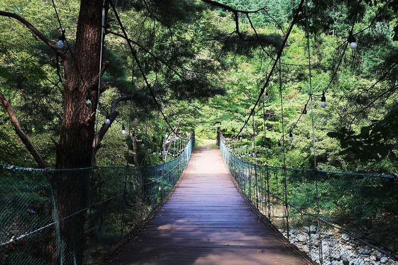 물가솔솔캠핑장 시설 사진 2